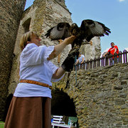 Program zpestřila sokolnice s dravými ptáky